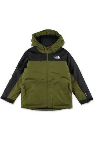 The North Face Logo