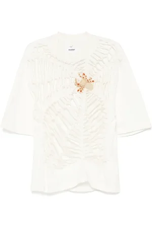 DOUBLET Protein spider web T