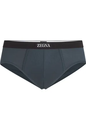 Ermenegildo Zegna Logo