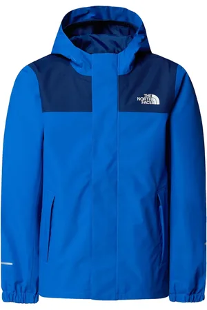 The North Face Logo