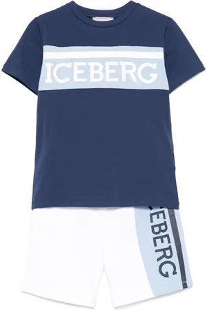 Iceberg Logo