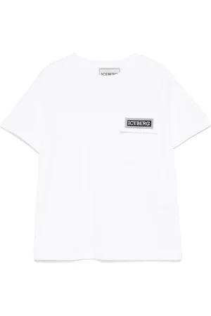 Iceberg Logo
