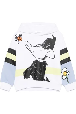 Iceberg X Looney Tunes cartoon