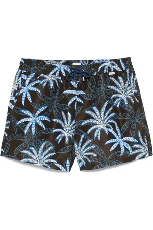 Paul Smith Palm