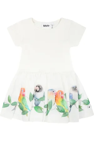 Molo Graphic