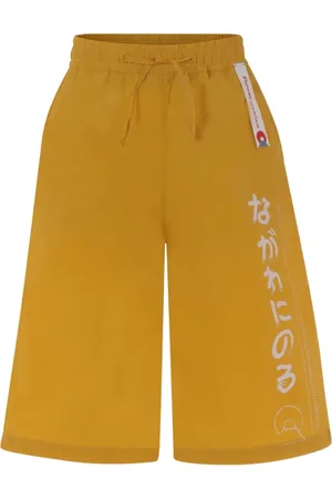 Flower Mountain Text