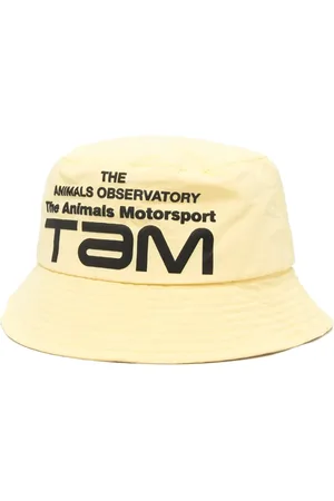 The Animals Observatory Starfish logo