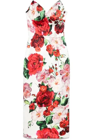 Dolce & Gabbana Rose
