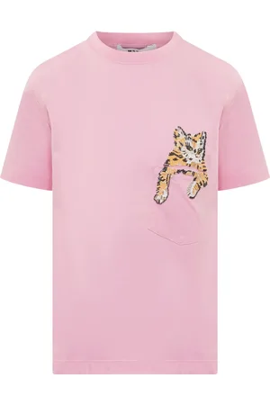 Msgm Cat