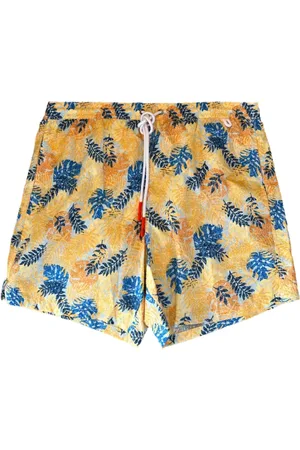 ISAIA Leaf