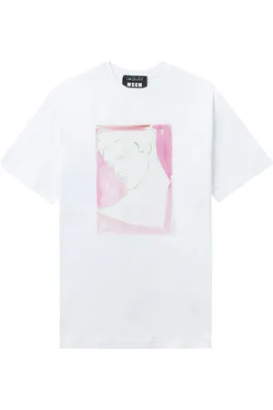 Msgm Illustration