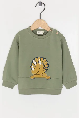 Minymo Sweater Met Dinosaurus