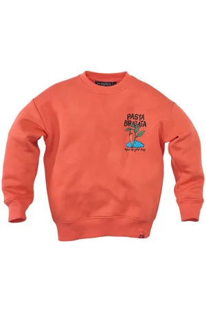 Z8 Kids sweater Tino met backprint Trui Jongens Stretchkatoen Ronde hals
