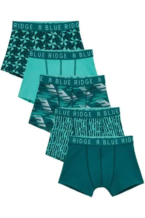 WE Fashion Blue Ridge boxershort