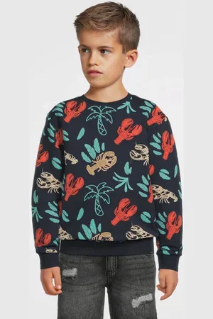 NAME IT MINI sweater donkerblauw Effen