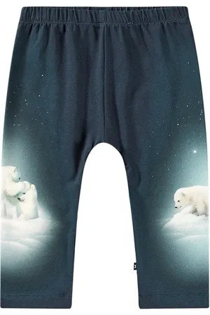Molo Printed Organic Cotton Jersey Sweatpants