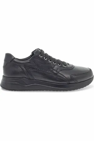 Paciotti Schoenen, Heren, Zwart, 42 EU, Leer, Sneakers