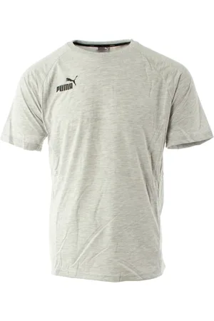 PUMA Tops, Heren, Grijs, XL, team Final Grijze T-shirt Maat S