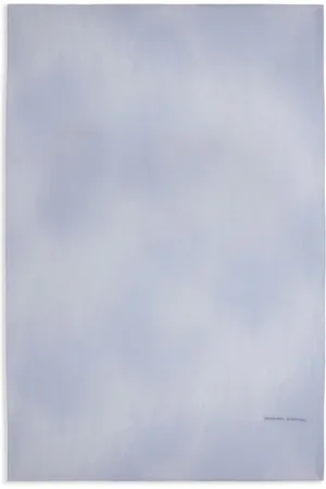 ERMANNO SCERVINO Accessoires, Dames, Blauw, ONE Size, Hemelsblauwe Zijden Sjaal
