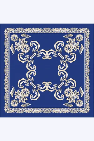 Etro Accessoires, Dames, Blauw, ONE Size, Gedrukte franje sjaal sjaals