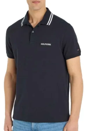 Tommy Hilfiger Tops, Heren, Blauw, L, Stijlvolle T-shirts en Polos