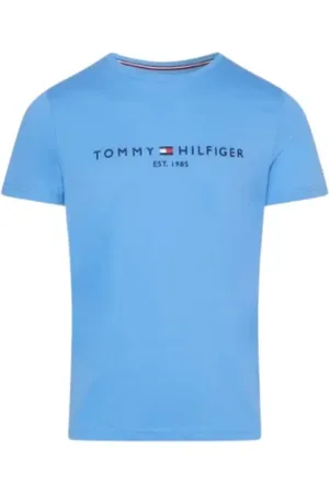 Tommy Hilfiger Tops, Heren, Blauw, M, Stijlvolle T-shirts en Polos
