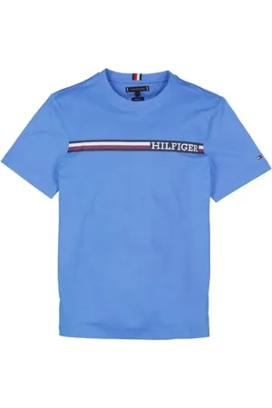 Tommy Hilfiger Tops, Heren, Blauw, S, Stijlvolle T-shirts en Polos