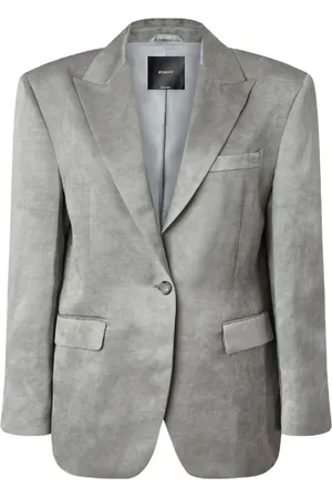 Pinko Jassen, Dames, Grijs, M, Stijlvolle damesjas