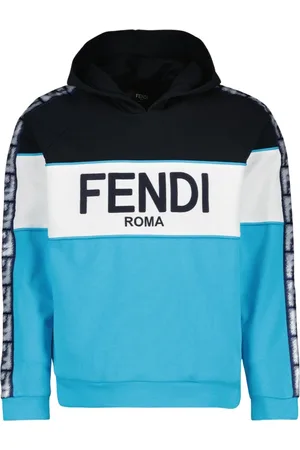 Fendi Sweatshirts & Hoodies, Heren, Blauw, S, Katoen, Hoodie met Tricolor Design