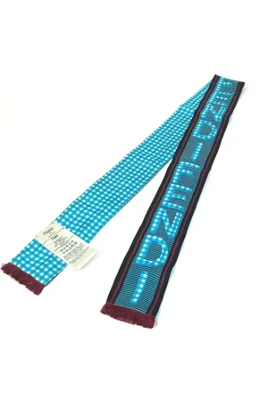 Fendi Pre-owned, Dames, Blauw, ONE Size, Pre-owned Silk scarves
