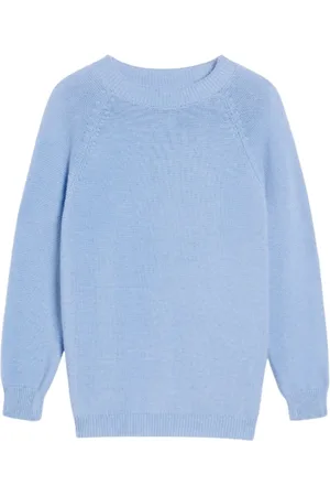 Max Mara Truien, Dames, Blauw, S, Katoen, Linz Katoenen Trui in Celeste