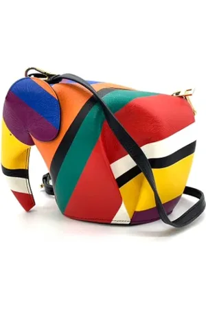 Loewe Pre-owned, Dames, Veelkleurig, ONE Size, Leer, Pre-owned Leather crossbody-bags