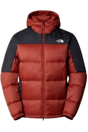 The North Face Jassen, Heren, Veelkleurig, L, Diablo Hooded Donsjas