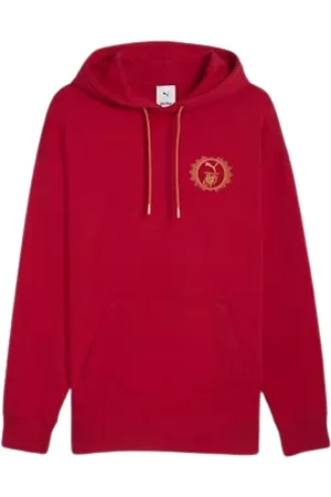 PUMA Sweatshirts & Hoodies, Dames, Groen, L, Gryffindor Hoodie Quidditch Stijl