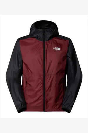 The North Face Jassen, Heren, Veelkleurig, M, Polyester, Winddichte Outdoorjas Bruin Cyclone