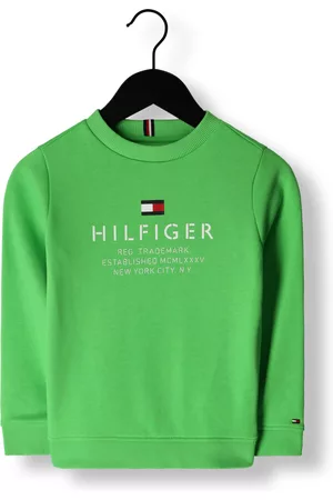 Tommy Hilfiger Jongens Sweaters - Sweater TH Logo Sweatshirt Jongens