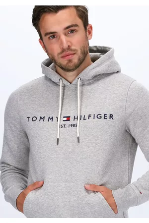 Tommy Hilfiger Heren Sweaters - Sweater Core Tommy Logo Hoody Heren