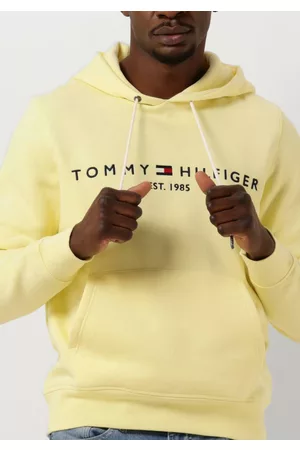 Tommy Hilfiger Heren Sweaters - Sweater Tommy Logo Hoodie Heren
