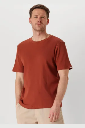 Anerkjendt Heren Polo