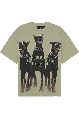 Represent Thoroughbred T