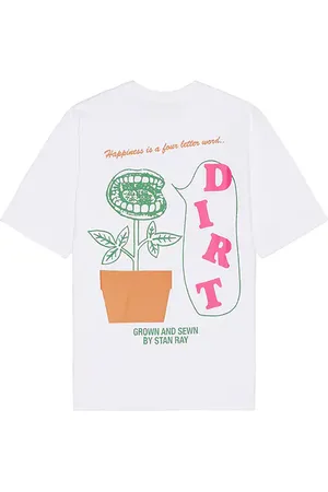 Stan Ray Dirt T