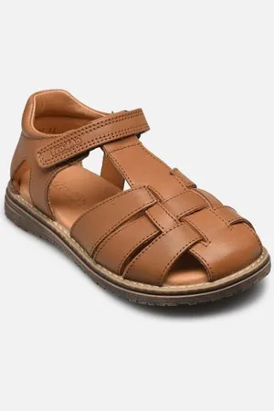Froddo Daros C by