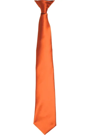 Premier Kleuren Heren Satin Clip Tie