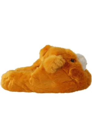 Dolce & Gabbana Lion Slippers Schoenen