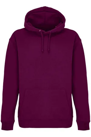 Sols Unisex Condor Hoodie voor volwassenen (Astraal )