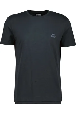 Diesel Tonaal logo T-shirt