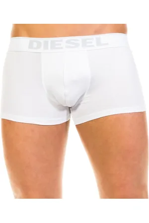Diesel Boxer Kory