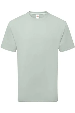 Fruit Of The Loom Katoenen uniseks T-shirt voor volwassenen (Salie)