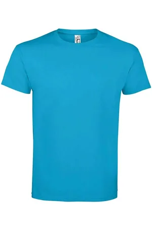 Sols Unisex Imperial Zwaar T-shirt voor volwassenen (Aqua)