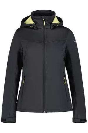 Icepeak Boise